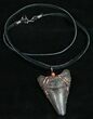 Black Megalodon Tooth Necklace #10156-1